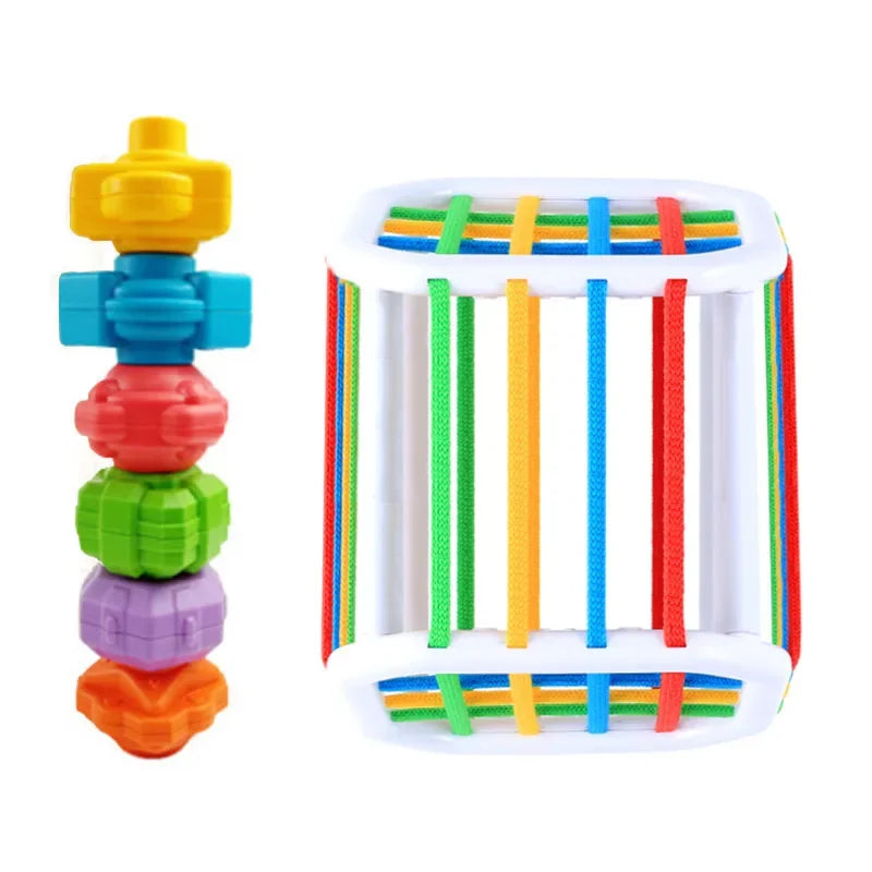 Educational Toy Classification Blocks